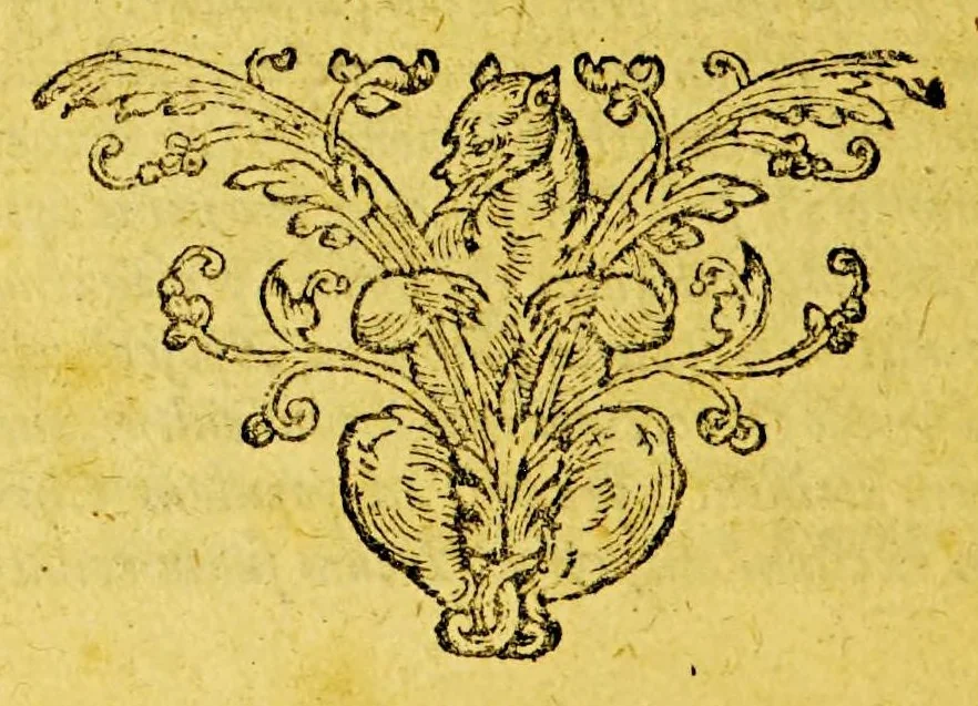 An illustration from Origo & historia belgicorum tumultuum. : Immanissimaeque crudelitatis per Cliviam & VVestphaliam patratae fidelissime conscripta & tabellis aeneis repraesentata: accedit Historia de furoribus gallicis., 1619, leaf 362