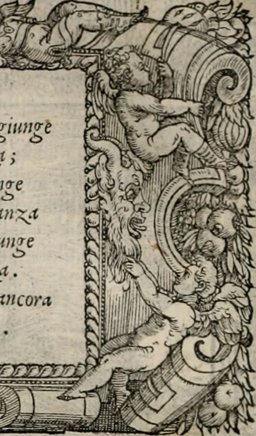 An illustration from Orlando furioso. /, 1556, leaf 107