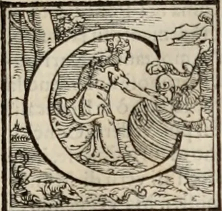 An illustration from Orlando furioso. /, 1556, leaf 12