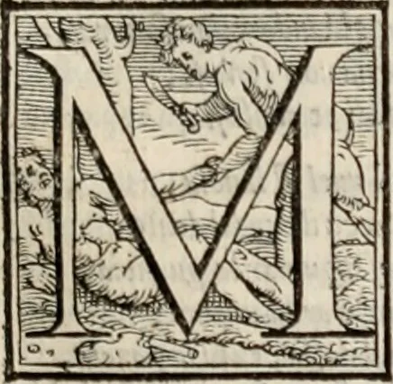 An illustration from Orlando furioso. /, 1556, leaf 208