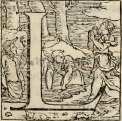 An illustration from Orlando furioso. /, 1556, leaf 238