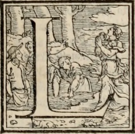 An illustration from Orlando furioso. /, 1556, leaf 28