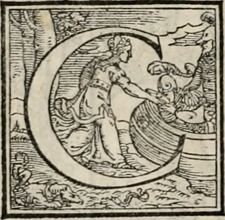 An illustration from Orlando furioso. /, 1556, leaf 309
