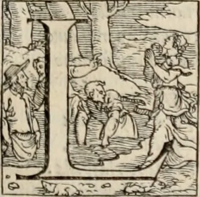 An illustration from Orlando furioso. /, 1556, leaf 462