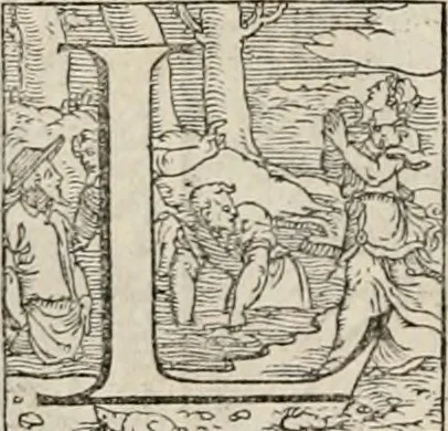 An illustration from Orlando furioso. /, 1556, leaf 481