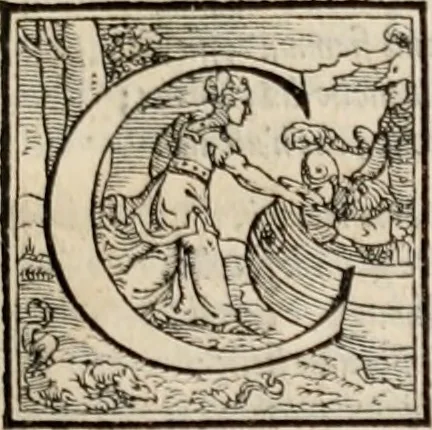 An illustration from Orlando furioso. /, 1556, leaf 50