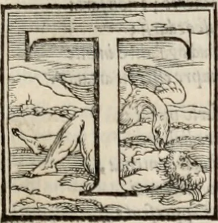 An illustration from Orlando furioso. /, 1556, leaf 68