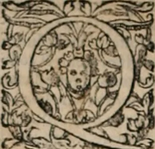 An illustration from Orlando furioso, 1580, leaf 13