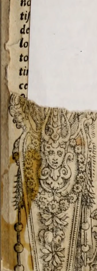 An illustration from Orlando furioso, 1580, leaf 2