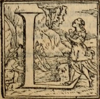An illustration from Orlando furioso, 1580, leaf 230