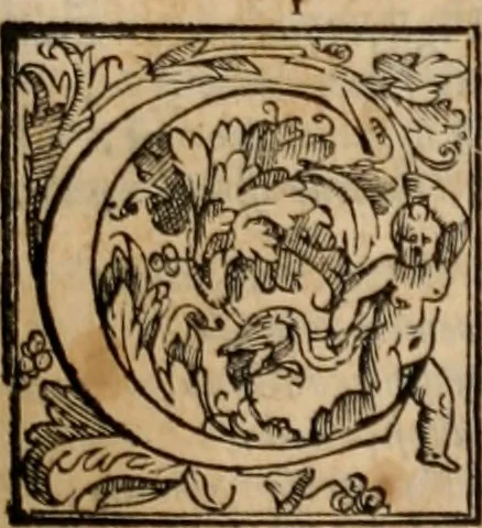 An illustration from Orlando furioso, 1580, leaf 252