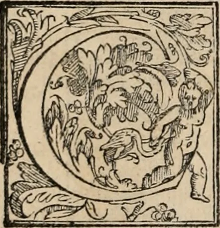 An illustration from Orlando furioso, 1580, leaf 277