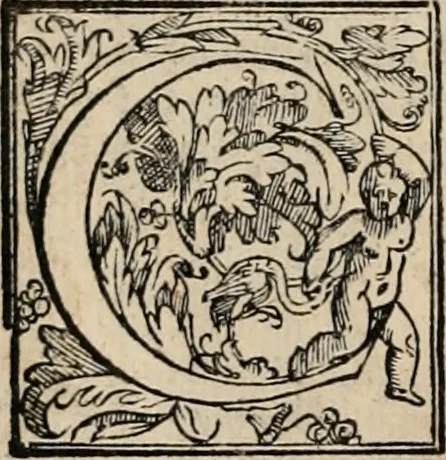 An illustration from Orlando furioso, 1580, leaf 301