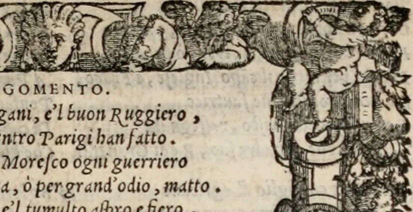 An illustration from Orlando furioso, 1580, leaf 316