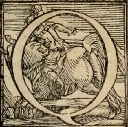 An illustration from Orlando furioso, 1580, leaf 4