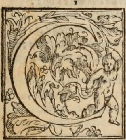 An illustration from Orlando furioso, 1580, leaf 40