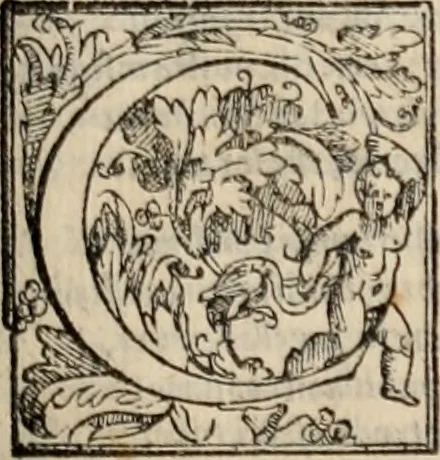 An illustration from Orlando furioso, 1580, leaf 410