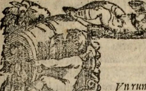 An illustration from Orlando furioso, 1580, leaf 430