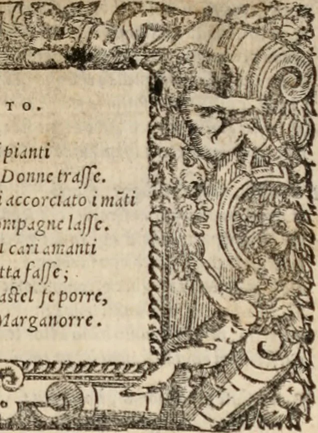 An illustration from Orlando furioso, 1580, leaf 430