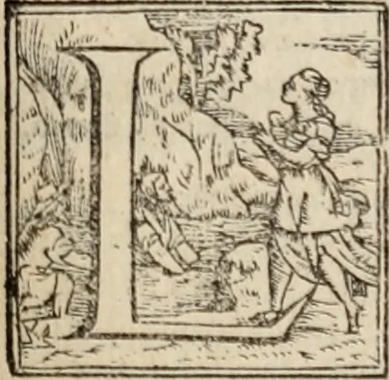 An illustration from Orlando furioso, 1580, leaf 454