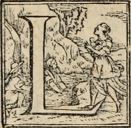An illustration from Orlando furioso, 1580, leaf 473