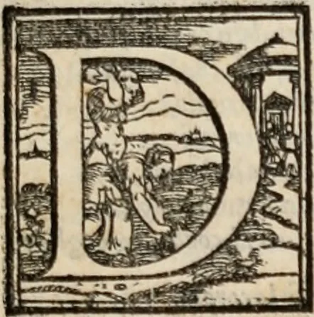 An illustration from Orlando furioso, 1580, leaf 576
