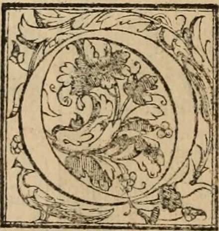An illustration from Orlando furioso, 1580, leaf 87