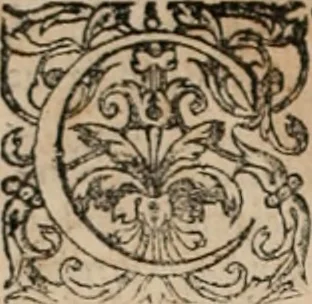 An illustration from Orlando furioso, 1580, leaf 9
