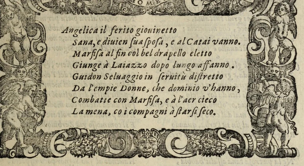 An illustration from Orlando furioso, 1584, leaf 223