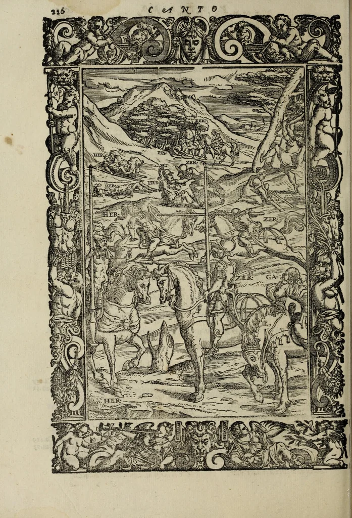An illustration from Orlando furioso, 1584, leaf 248