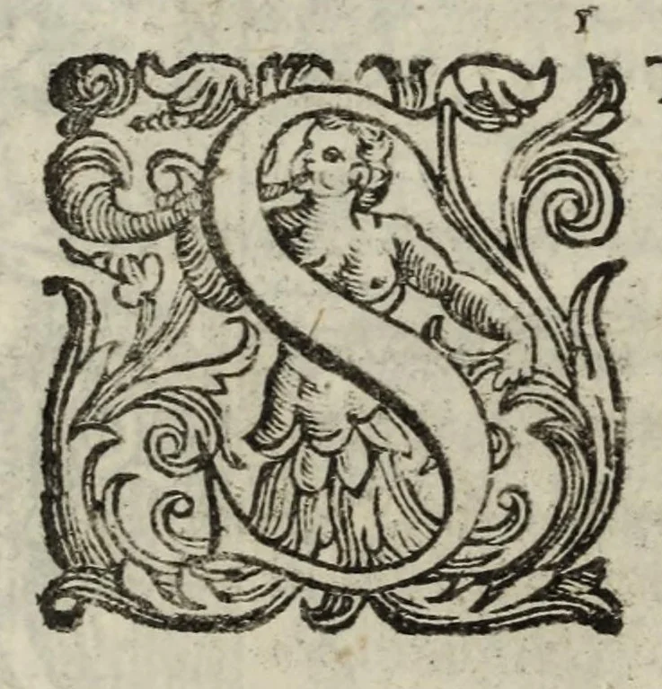 An illustration from Orlando furioso, 1584, leaf 268