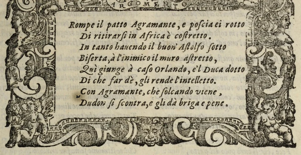 An illustration from Orlando furioso, 1584, leaf 459