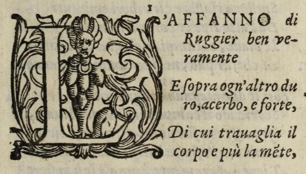 An illustration from Orlando furioso, 1584, leaf 459