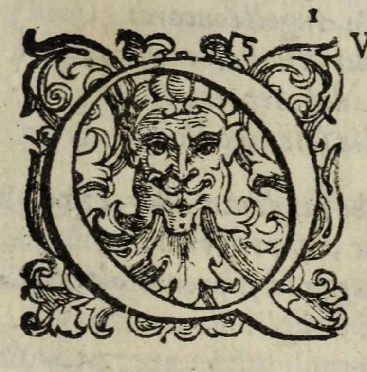 An illustration from Orlando furioso, 1584, leaf 489
