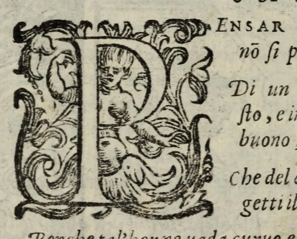 An illustration from Orlando furioso, 1584, leaf 568