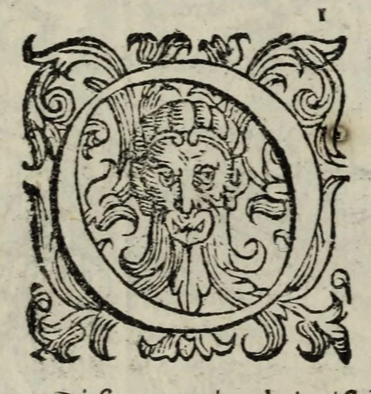 An illustration from Orlando furioso, 1584, leaf 92