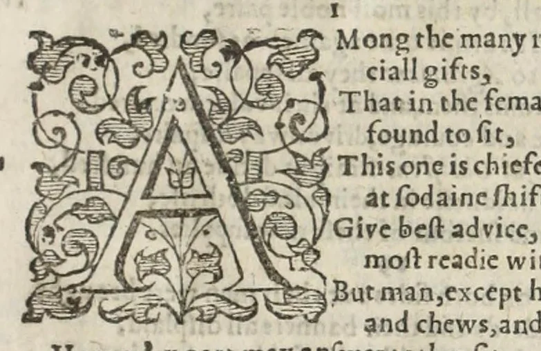 An illustration from Orlando furioso in English heroical verse, 1634, leaf 239