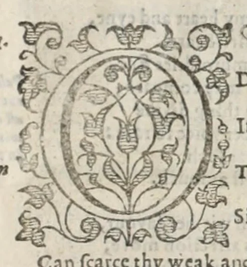 An illustration from Orlando furioso in English heroical verse, 1634, leaf 383