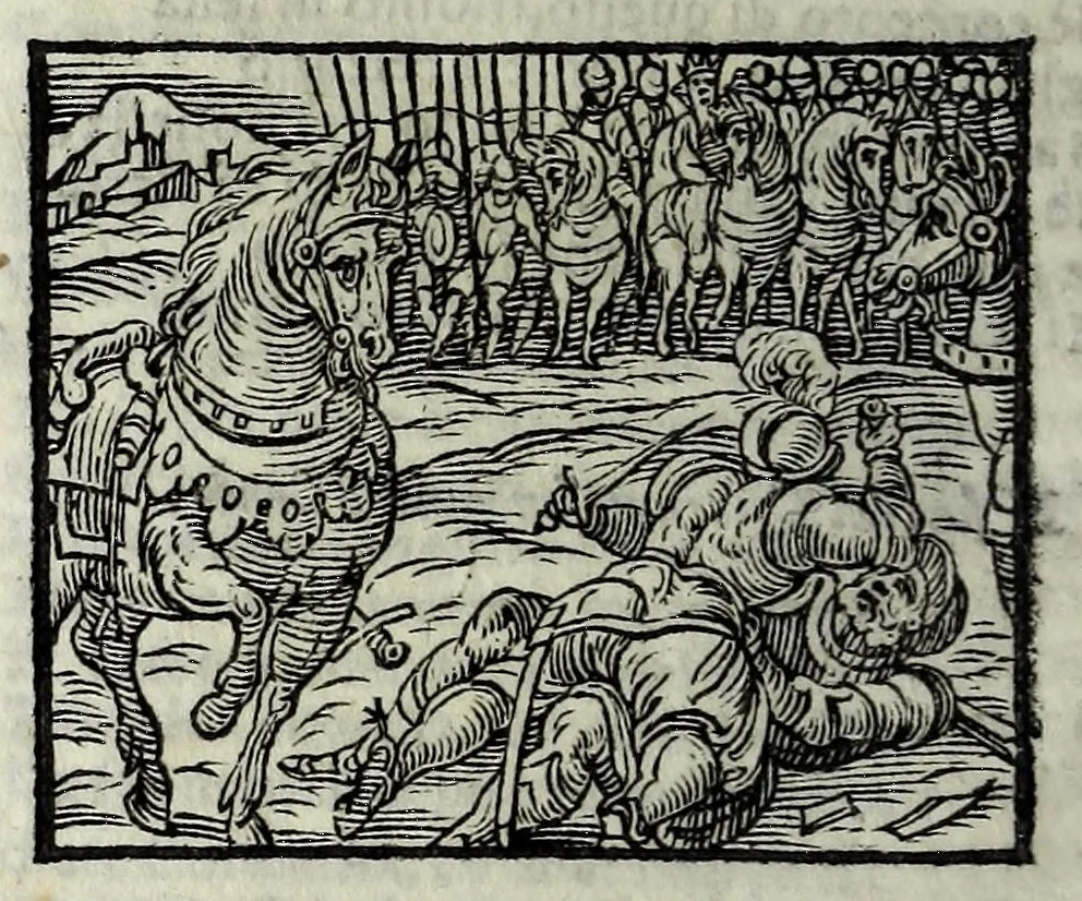 An illustration from Orlando fvrioso di M. Lodovico Ariosto : con gli argomenti in ottaua rima di M. Lodouico Dolce ; et con l'allegorie à ciascun canto di Thomaso Porcacchi da Castiglione Aretino, diligentemente corretto, & di nuoue figure adornato, 1600, leaf 1008