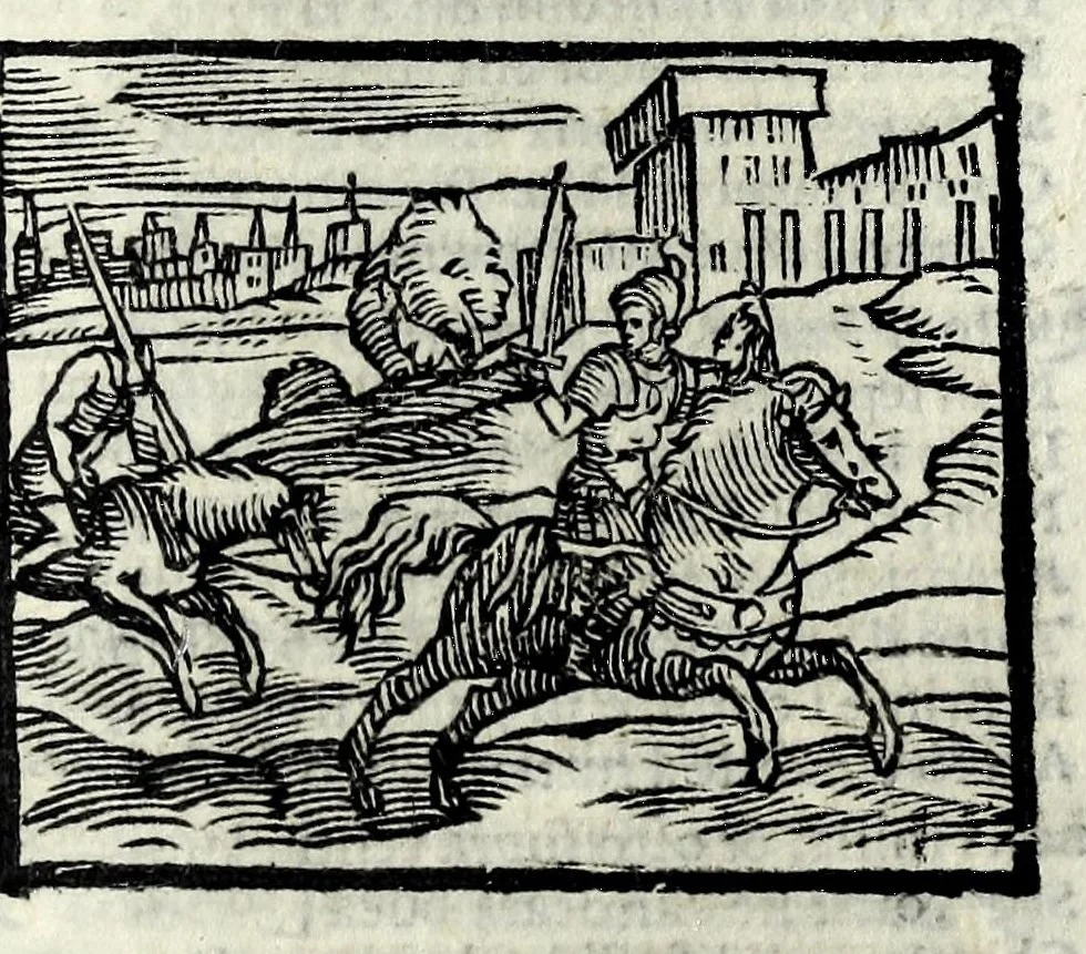 An illustration from Orlando fvrioso di M. Lodovico Ariosto : con gli argomenti in ottaua rima di M. Lodouico Dolce ; et con l'allegorie à ciascun canto di Thomaso Porcacchi da Castiglione Aretino, diligentemente corretto, & di nuoue figure adornato, 1600, leaf 271