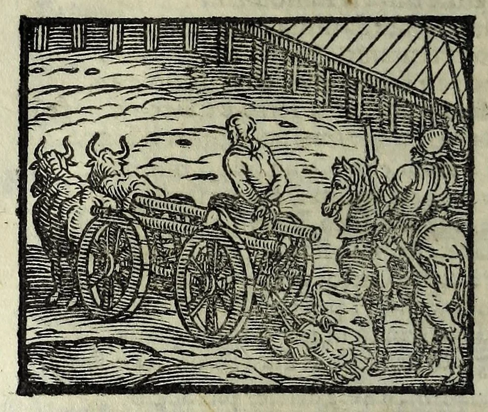An illustration from Orlando fvrioso di M. Lodovico Ariosto : con gli argomenti in ottaua rima di M. Lodouico Dolce ; et con l'allegorie à ciascun canto di Thomaso Porcacchi da Castiglione Aretino, diligentemente corretto, & di nuoue figure adornato, 1600, leaf 314