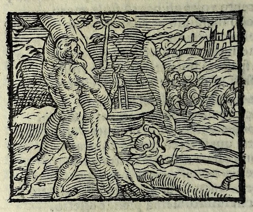 An illustration from Orlando fvrioso di M. Lodovico Ariosto : con gli argomenti in ottaua rima di M. Lodouico Dolce ; et con l'allegorie à ciascun canto di Thomaso Porcacchi da Castiglione Aretino, diligentemente corretto, & di nuoue figure adornato, 1600, leaf 474