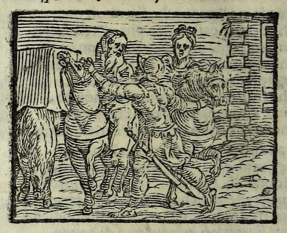 An illustration from Orlando fvrioso di M. Lodovico Ariosto : con gli argomenti in ottaua rima di M. Lodouico Dolce ; et con l'allegorie à ciascun canto di Thomaso Porcacchi da Castiglione Aretino, diligentemente corretto, & di nuoue figure adornato, 1600, leaf 606