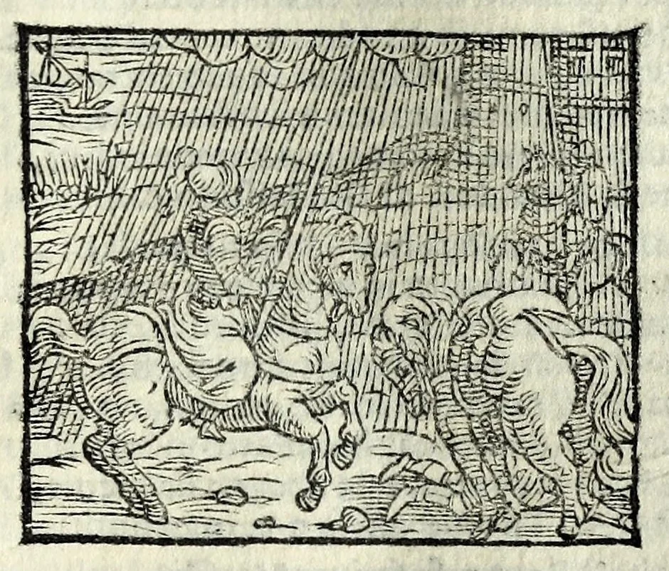An illustration from Orlando fvrioso di M. Lodovico Ariosto : con gli argomenti in ottaua rima di M. Lodouico Dolce ; et con l'allegorie à ciascun canto di Thomaso Porcacchi da Castiglione Aretino, diligentemente corretto, & di nuoue figure adornato, 1600, leaf 687