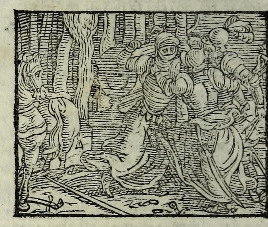 An illustration from Orlando fvrioso di M. Lodovico Ariosto : con gli argomenti in ottaua rima di M. Lodouico Dolce ; et con l'allegorie à ciascun canto di Thomaso Porcacchi da Castiglione Aretino, diligentemente corretto, & di nuoue figure adornato, 1600, leaf 776