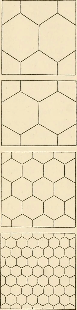 An illustration from Ornamental design, embracing The Anatomy of pattern : The planning of ornament; The application of ornament, 1888, leaf 48