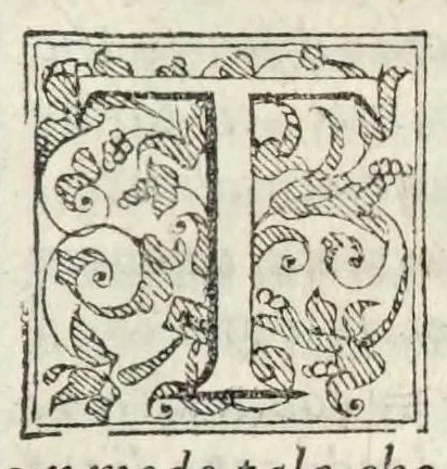 An illustration from Ornamenti della gentil donna vedova, 1574, leaf 79