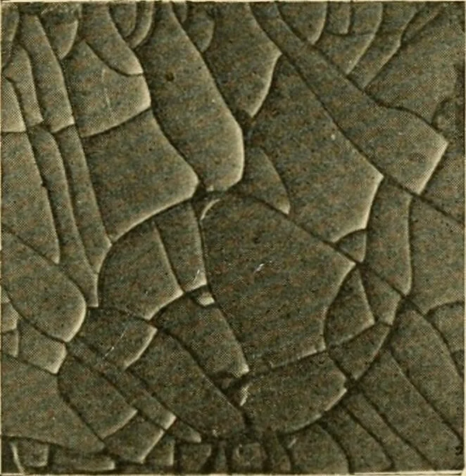 An illustration from Ornament & its application; a book for students, treating in a practical way of the relation of design to material, tools and methods of work, 1904, leaf 182