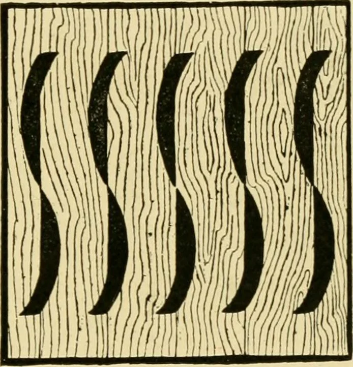 An illustration from Ornament & its application; a book for students, treating in a practical way of the relation of design to material, tools and methods of work, 1904, leaf 246