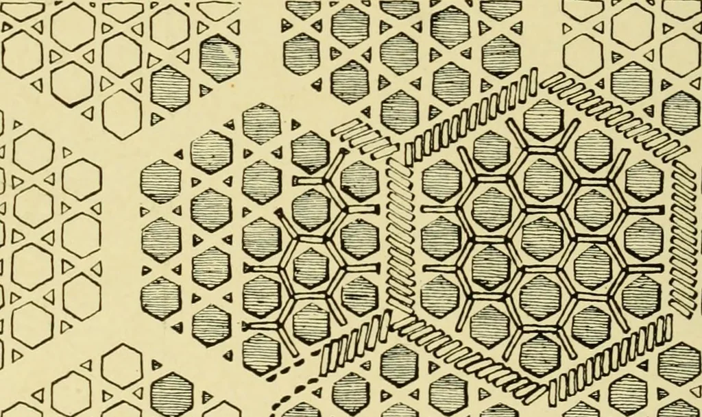 An illustration from Ornament & its application; a book for students, treating in a practical way of the relation of design to material, tools and methods of work, 1904, leaf 257